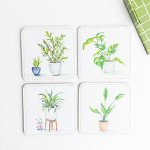 Load image into Gallery viewer, Plant Lady Coasters, Set of 4
