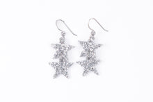 Load image into Gallery viewer, Sparkle in Silver Star Earrings
