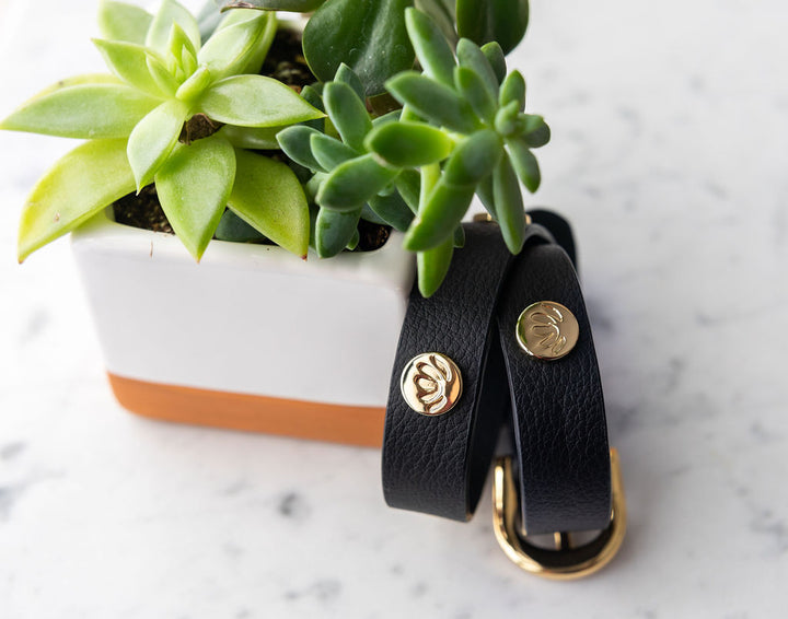 CACTUS 2 in 1 Wrap Bracelet + Choker in Black