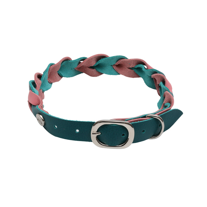 Pup Braided Leather Collar