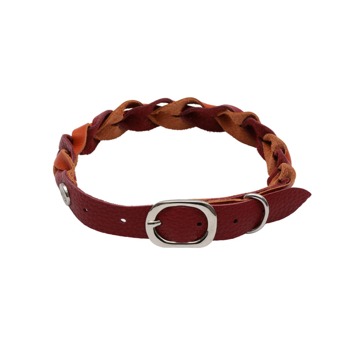 Pup Braided Leather Collar